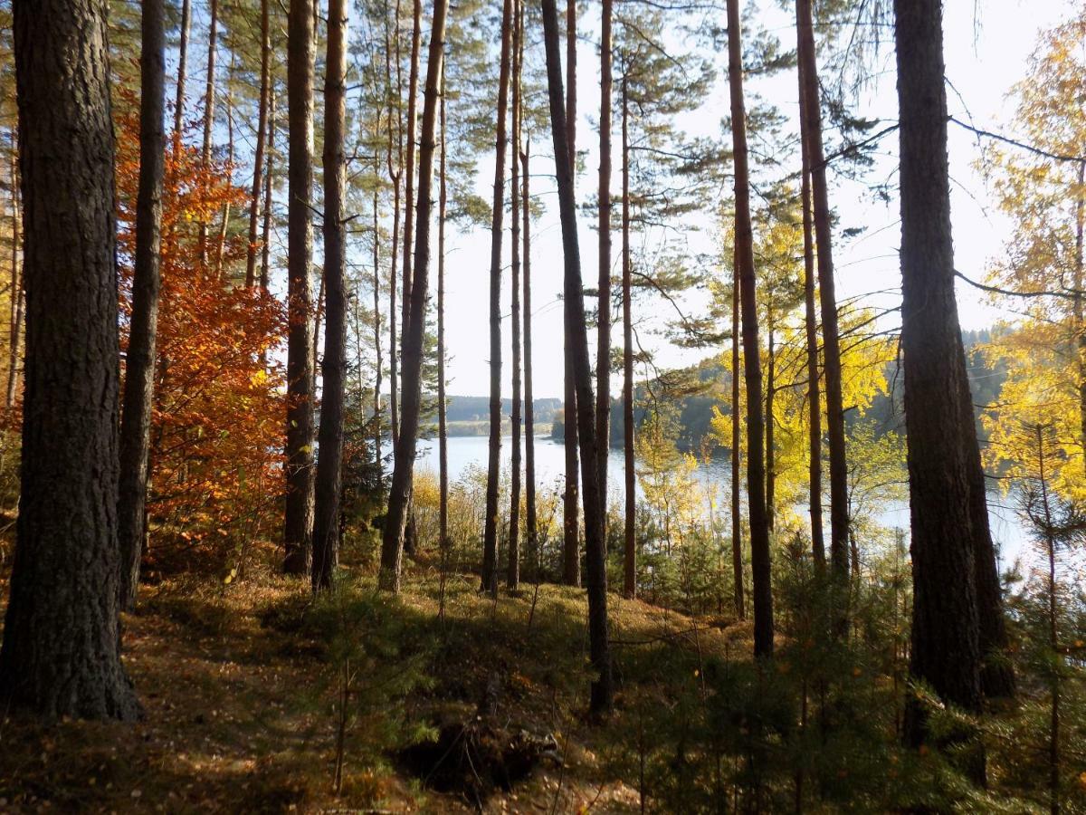 Vila Rozinka Lipno Lipno nad Vltavou Exterior foto